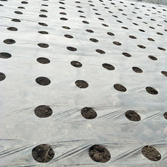 VEGMESH™ - ΜΕΜΒΡΑΝΗ ΓΙΑ ΦΥΤΕΥΣΗ (1x10m)